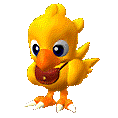 Cole The Chocobo